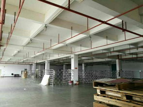 深圳龍崗優(yōu)質(zhì)廠房、倉(cāng)庫(kù)及土地租賃，分租面積500至2000平方米